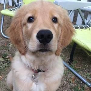 Meet your Posher, Debby